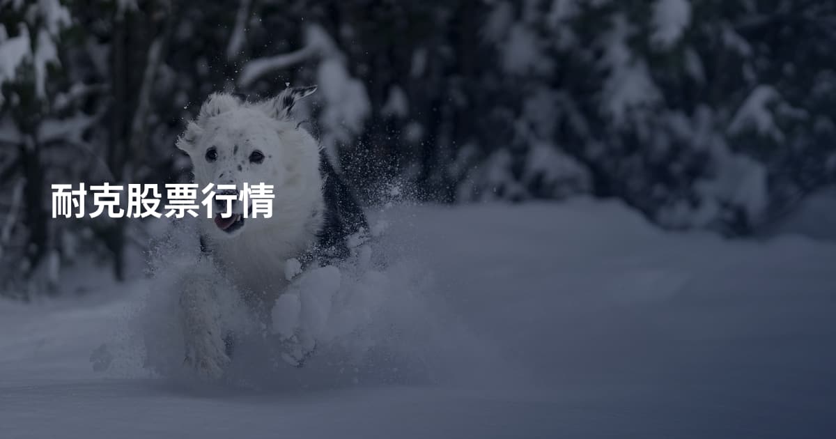 耐克股票行情