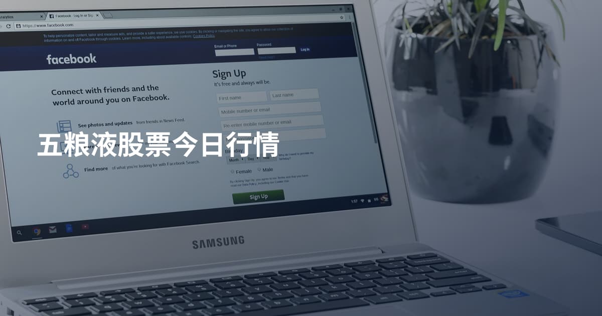 五粮液股票今日行情
