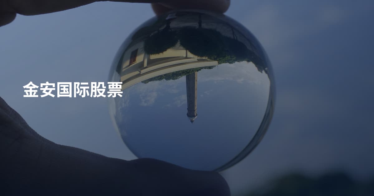 金安国际股票