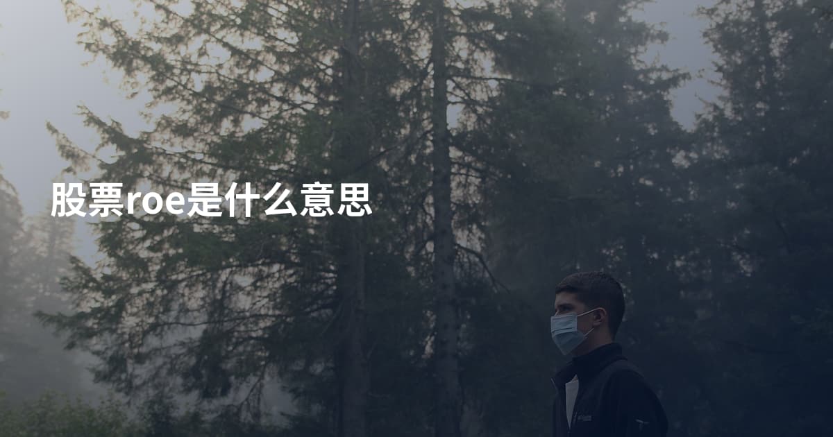 股票roe是什么意思