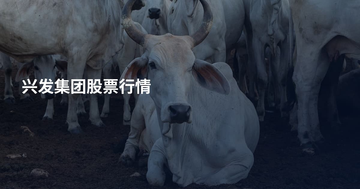 兴发集团股票行情