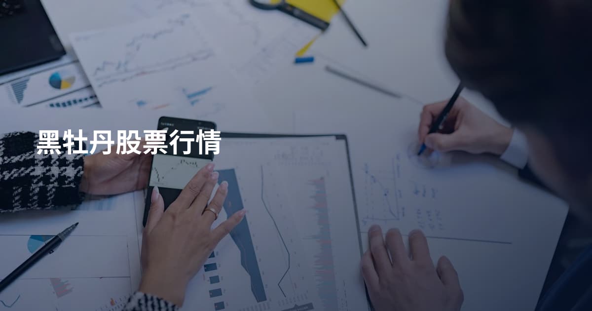 黑牡丹股票行情