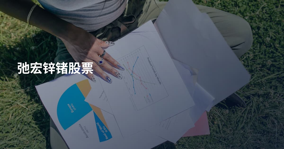 弛宏锌锗股票