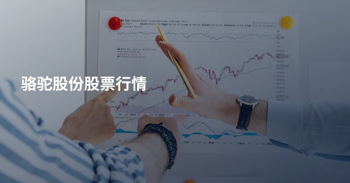 骆驼股份股票行情