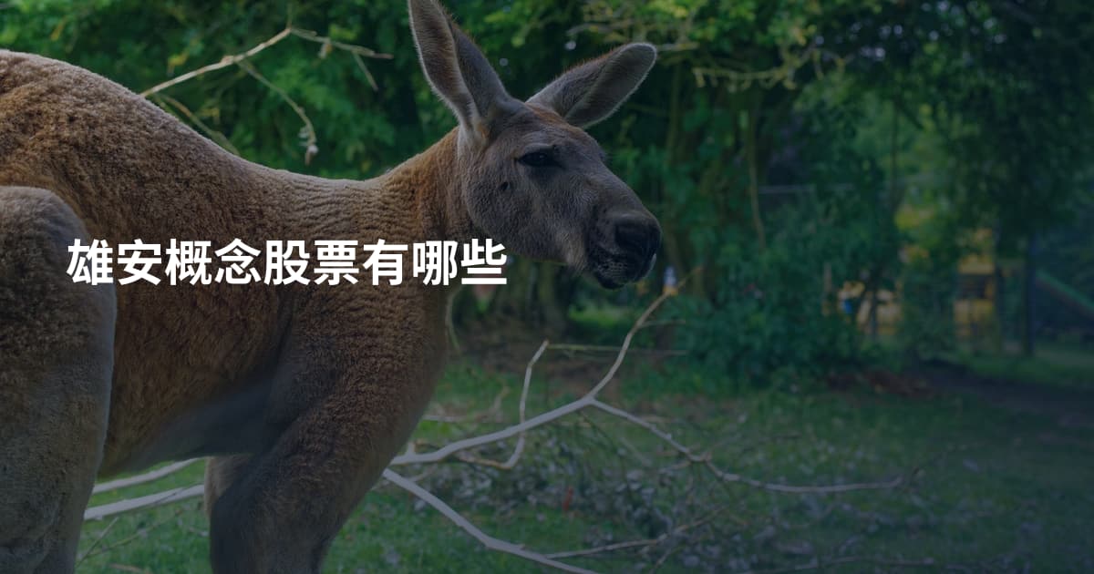 雄安概念股票有哪些