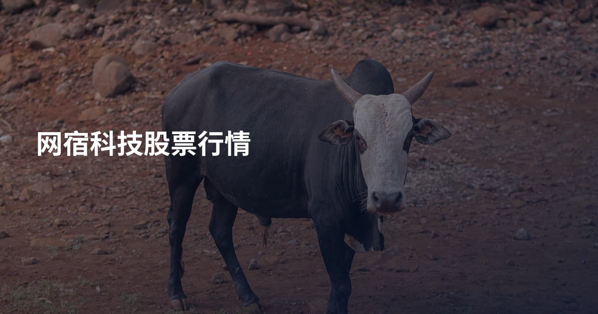 网宿科技股票行情