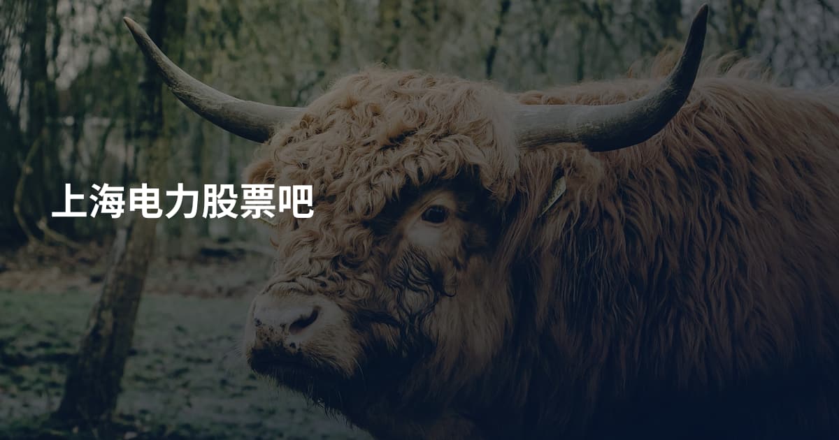 上海电力股票吧