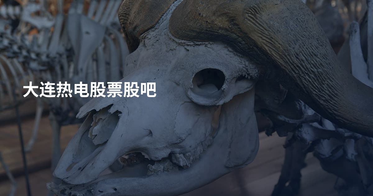 大连热电股票股吧