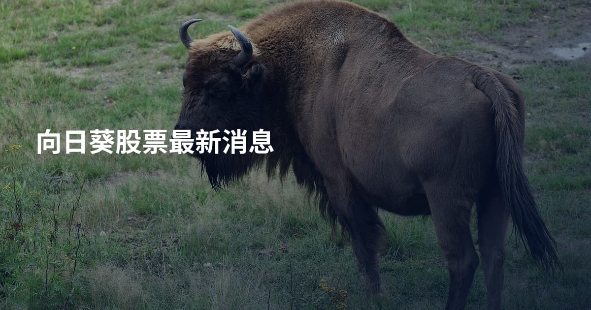 向日葵股票最新消息