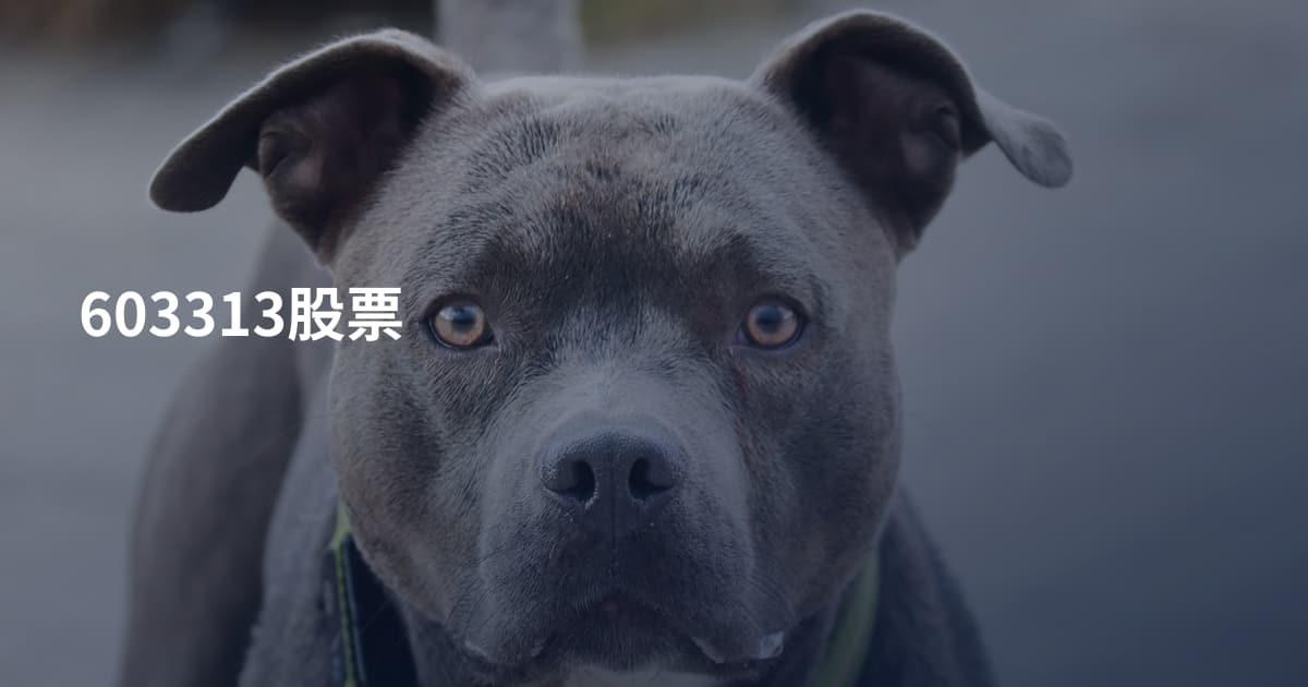 603313股票
