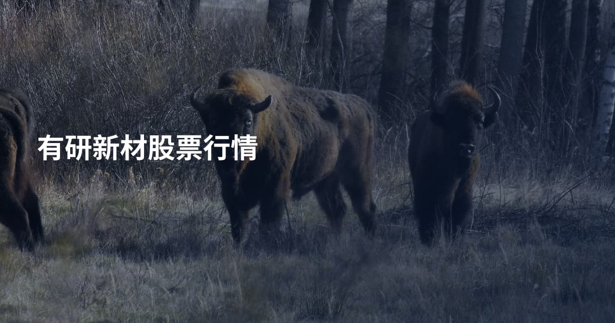 有研新材股票行情