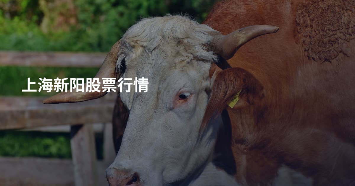 上海新阳股票行情