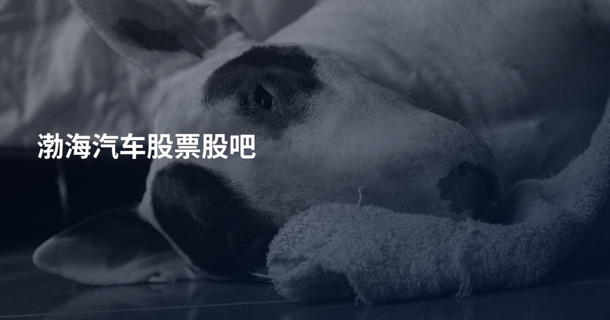 渤海汽车股票股吧