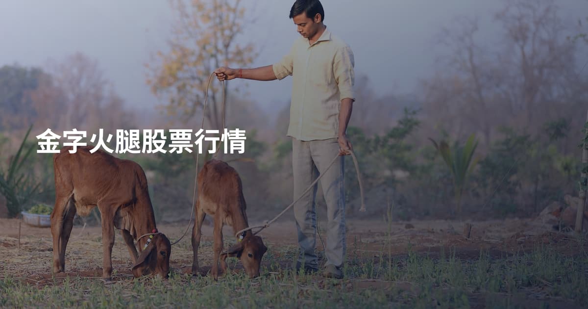 金字火腿股票行情