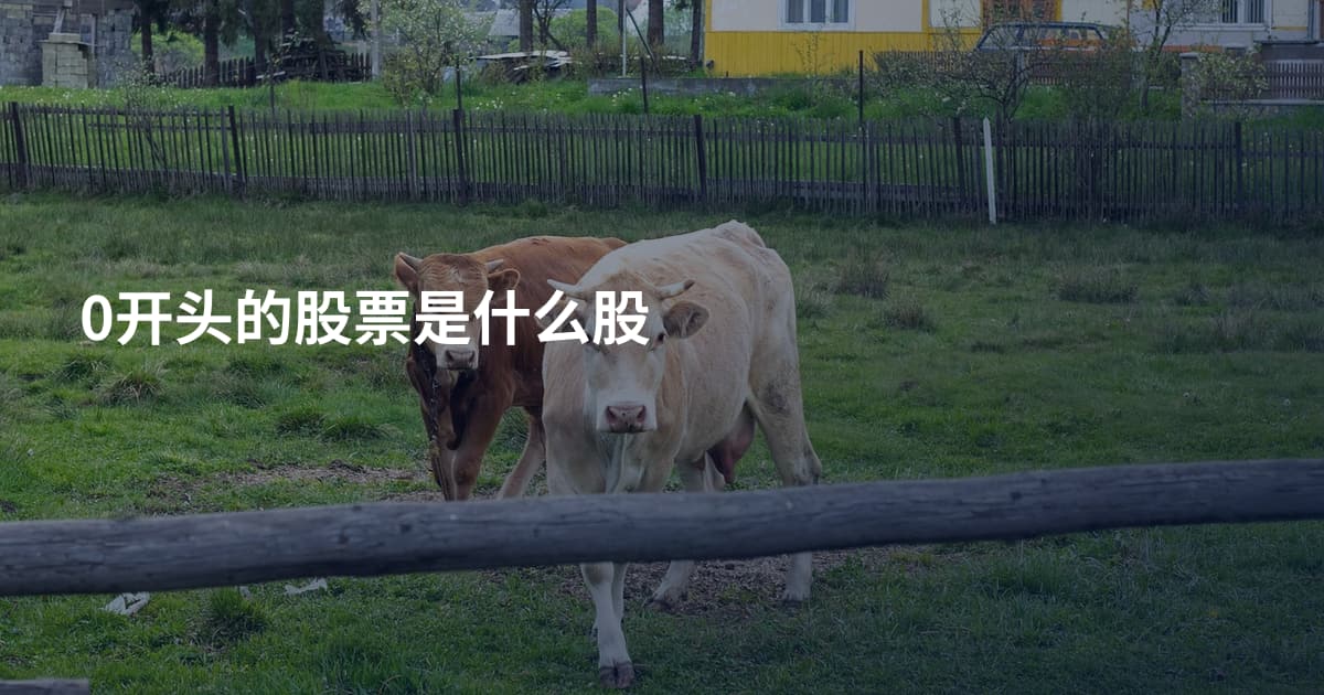 0开头的股票是什么股