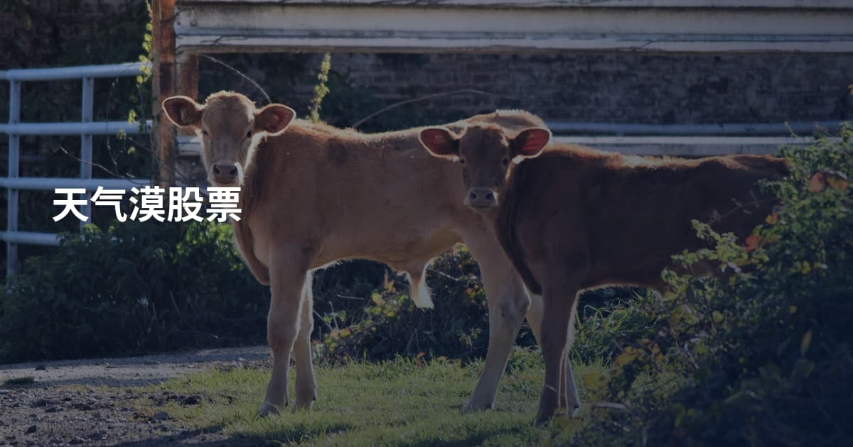 天气漠股票