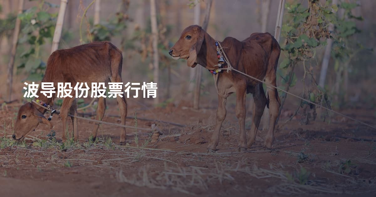 波导股份股票行情
