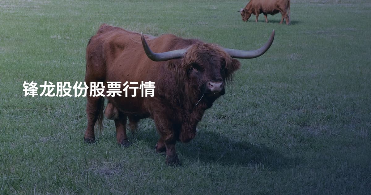 锋龙股份股票行情
