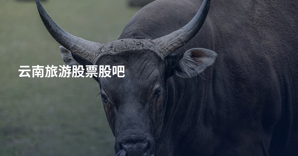 云南旅游股票股吧