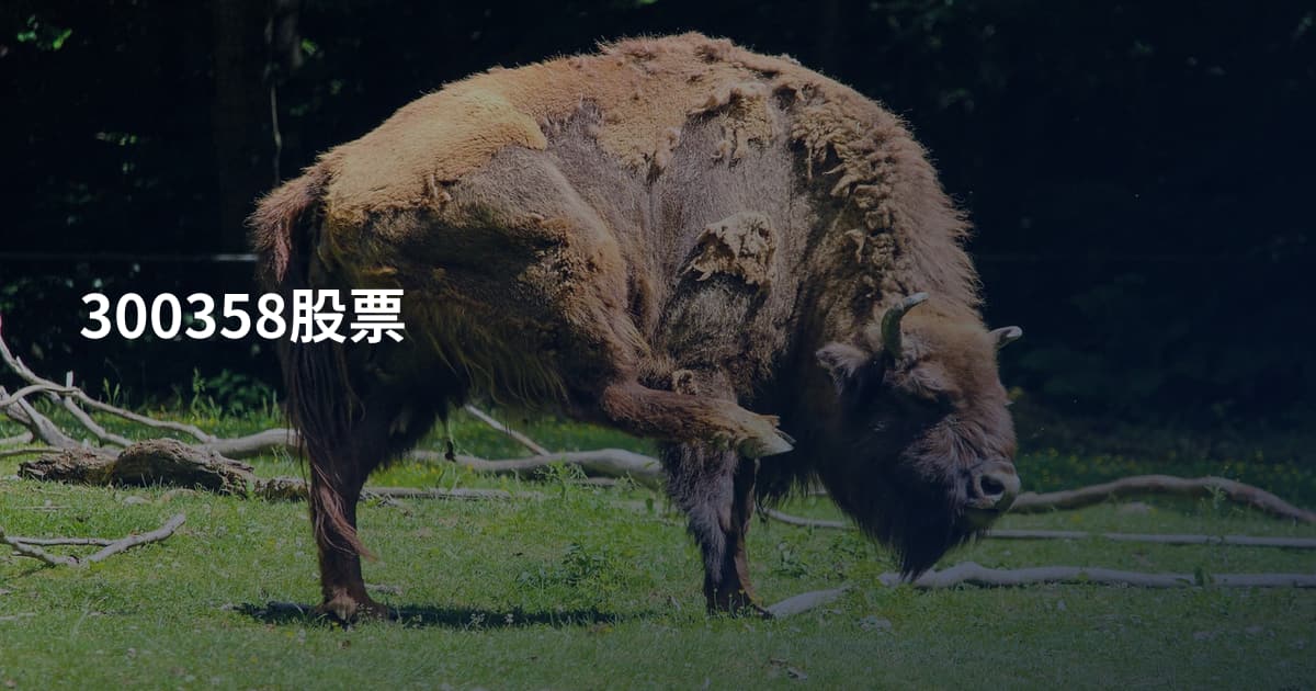 300358股票