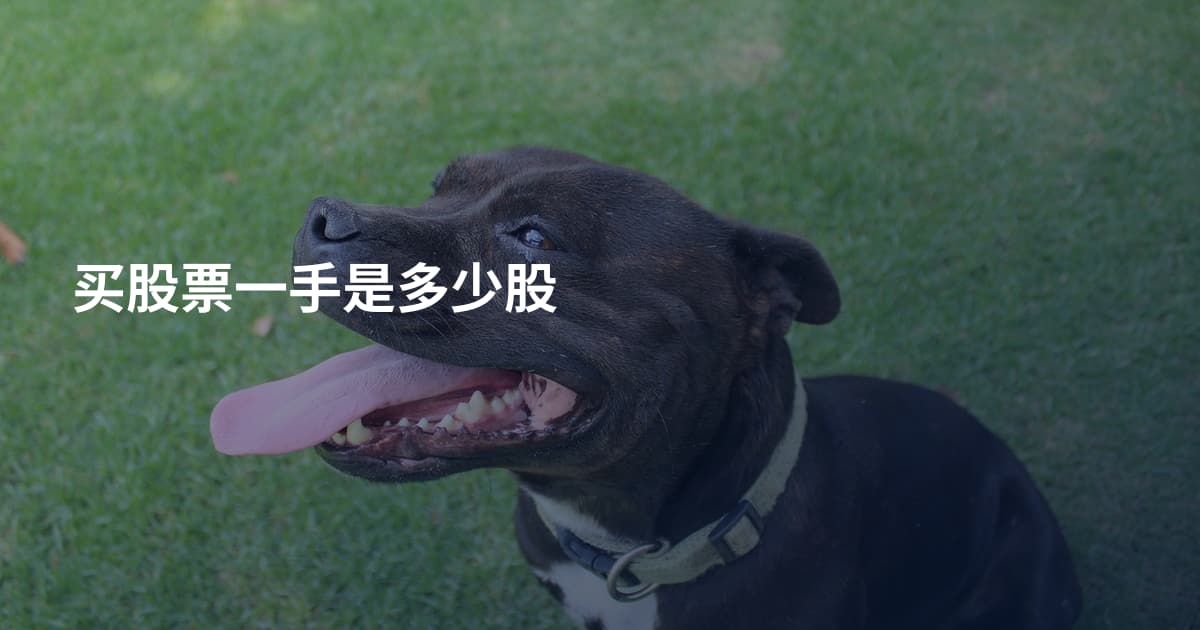 买股票一手是多少股