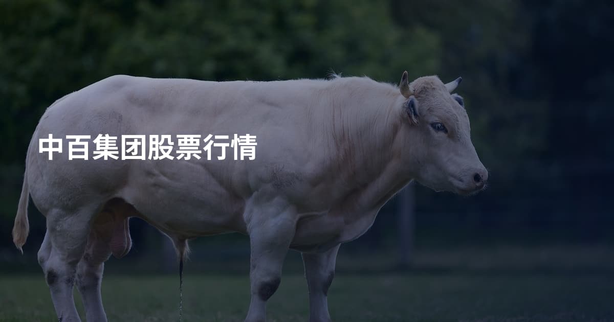 中百集团股票行情