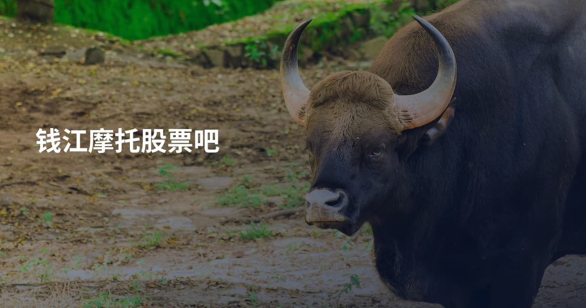 钱江摩托股票吧
