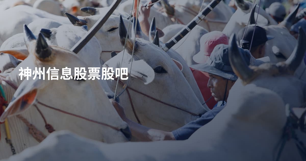 神州信息股票股吧