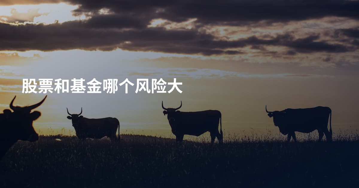 股票和基金哪个风险大