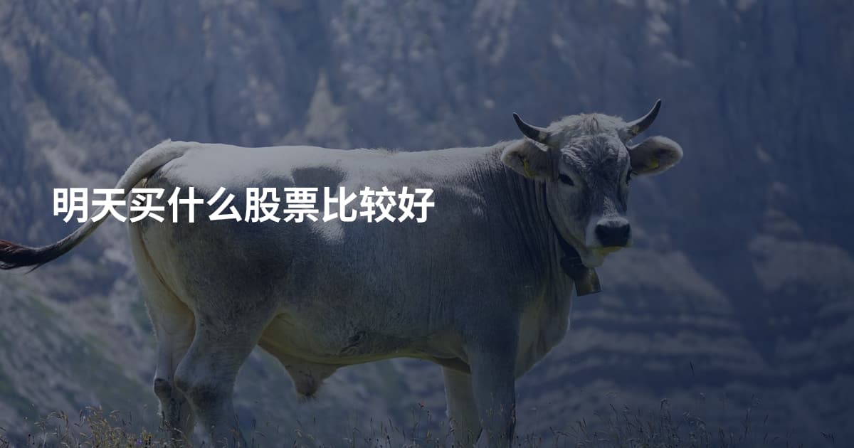 明天买什么股票比较好