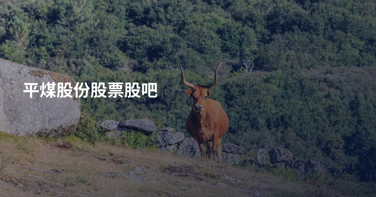 平煤股份股票股吧