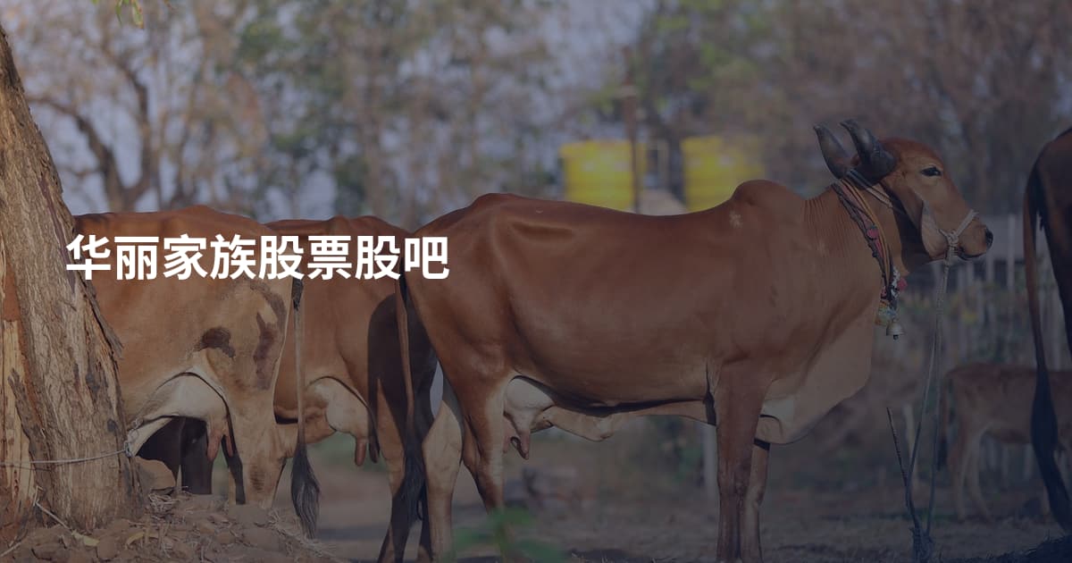 华丽家族股票股吧