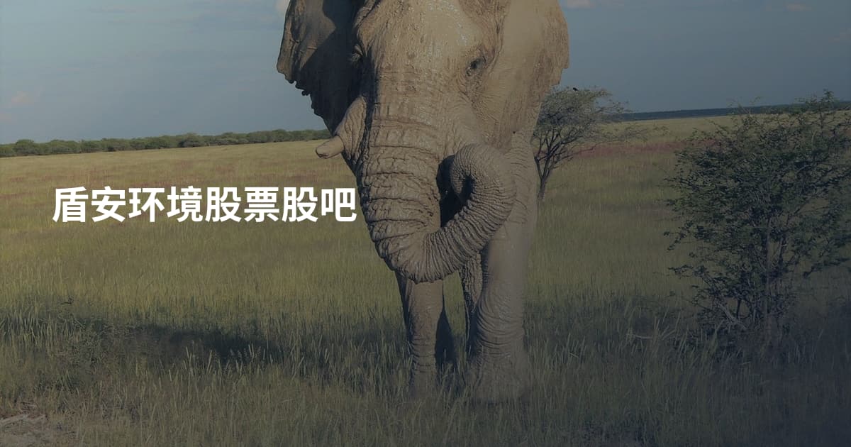 盾安环境股票股吧