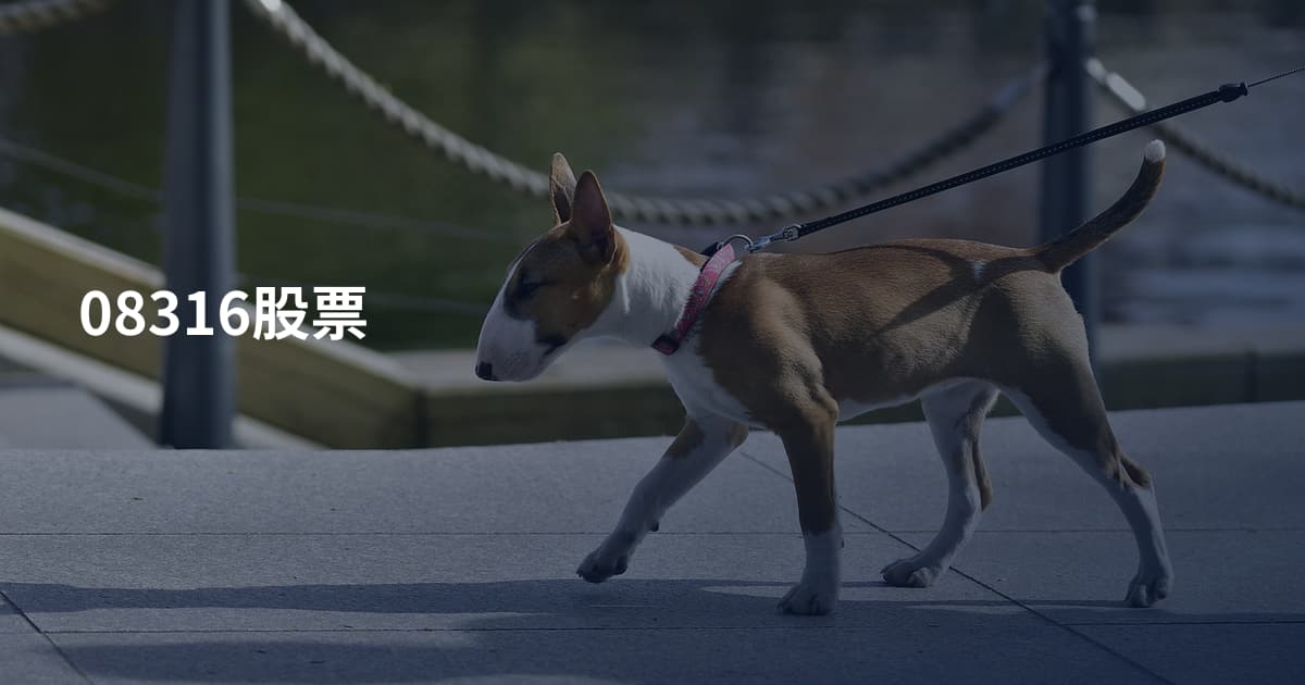 08316股票