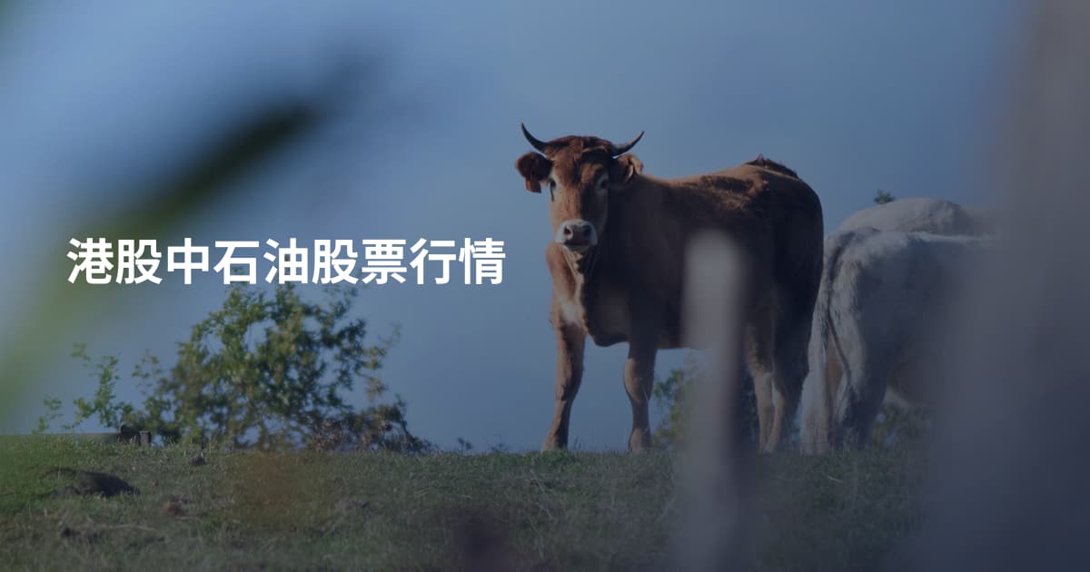 港股中石油股票行情