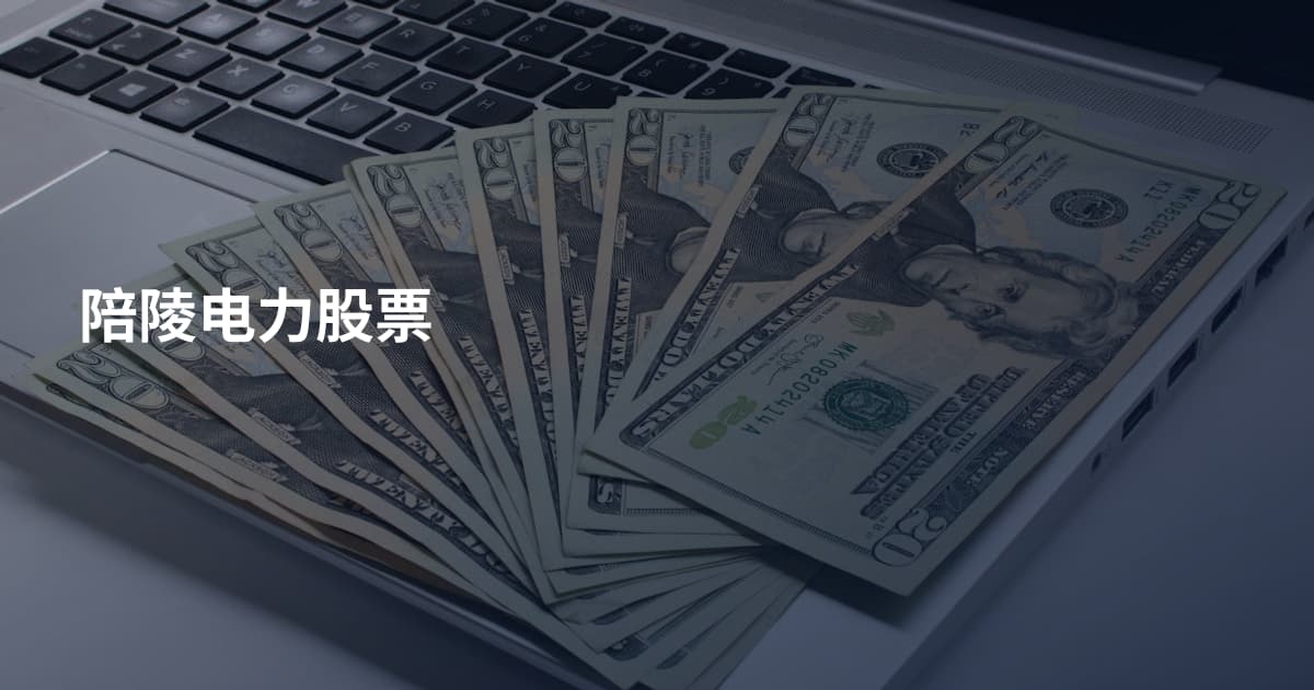陪陵电力股票