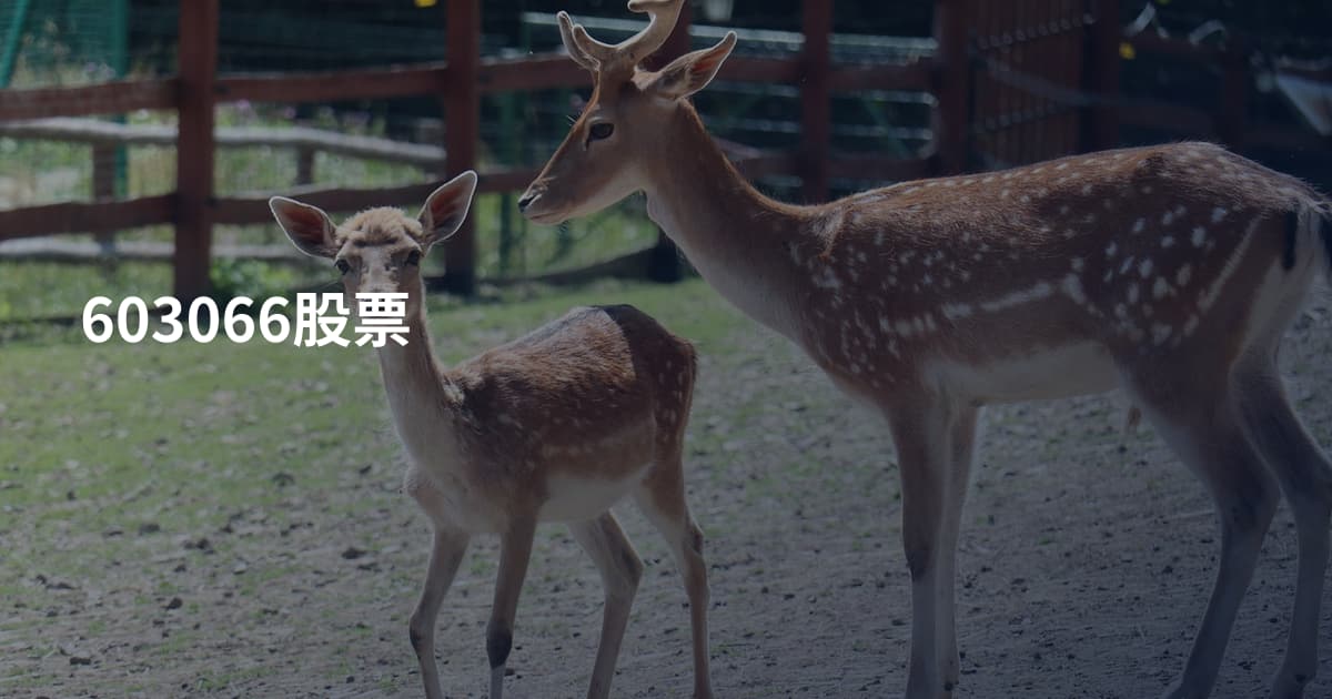 603066股票