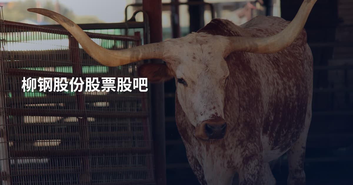 柳钢股份股票股吧
