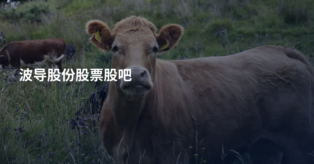 波导股份股票股吧