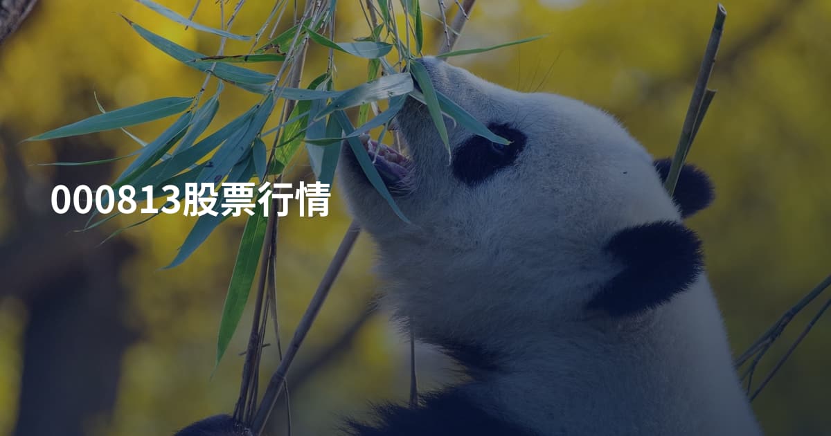 000813股票行情