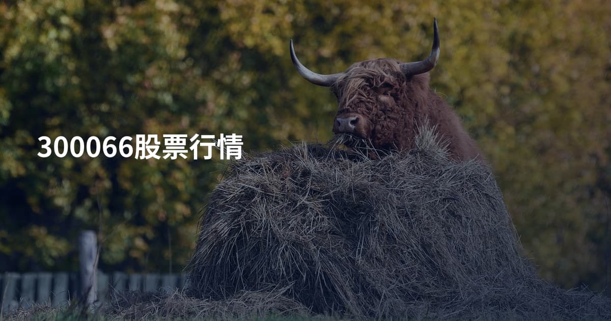 300066股票行情