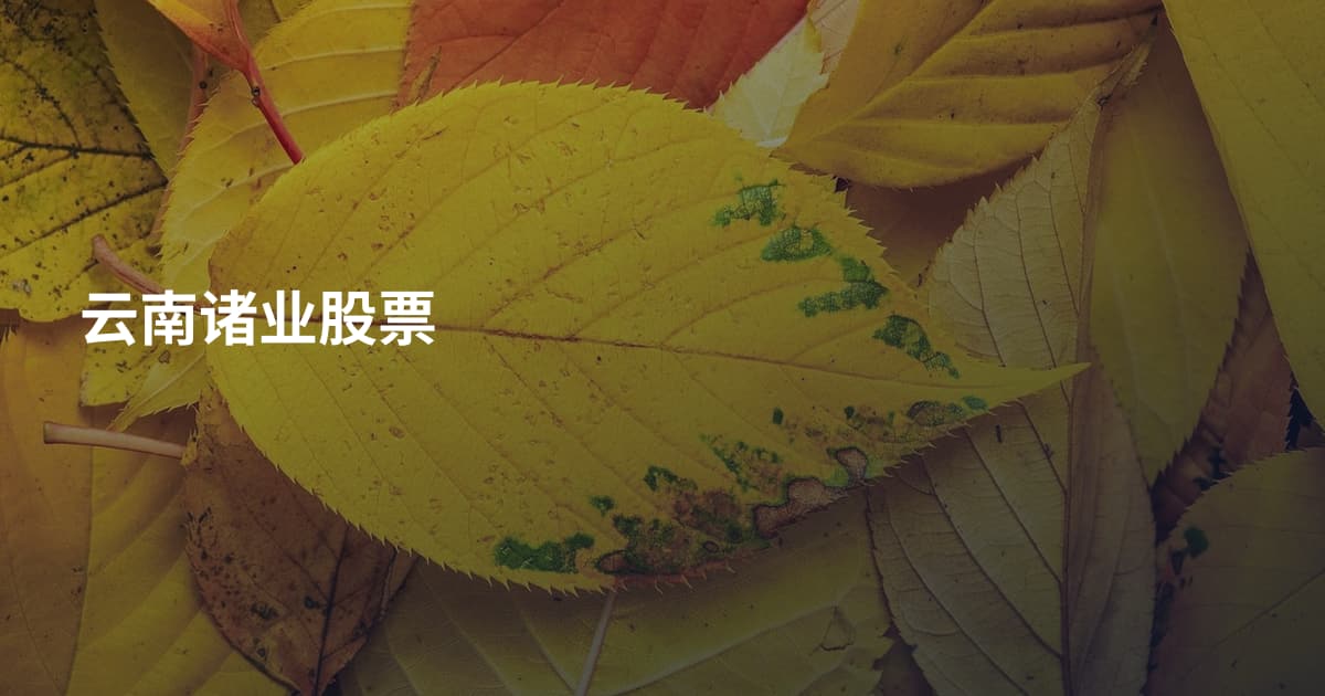 云南诸业股票