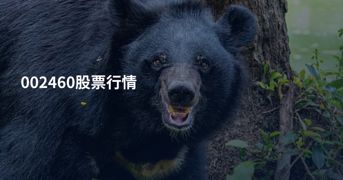 002460股票行情