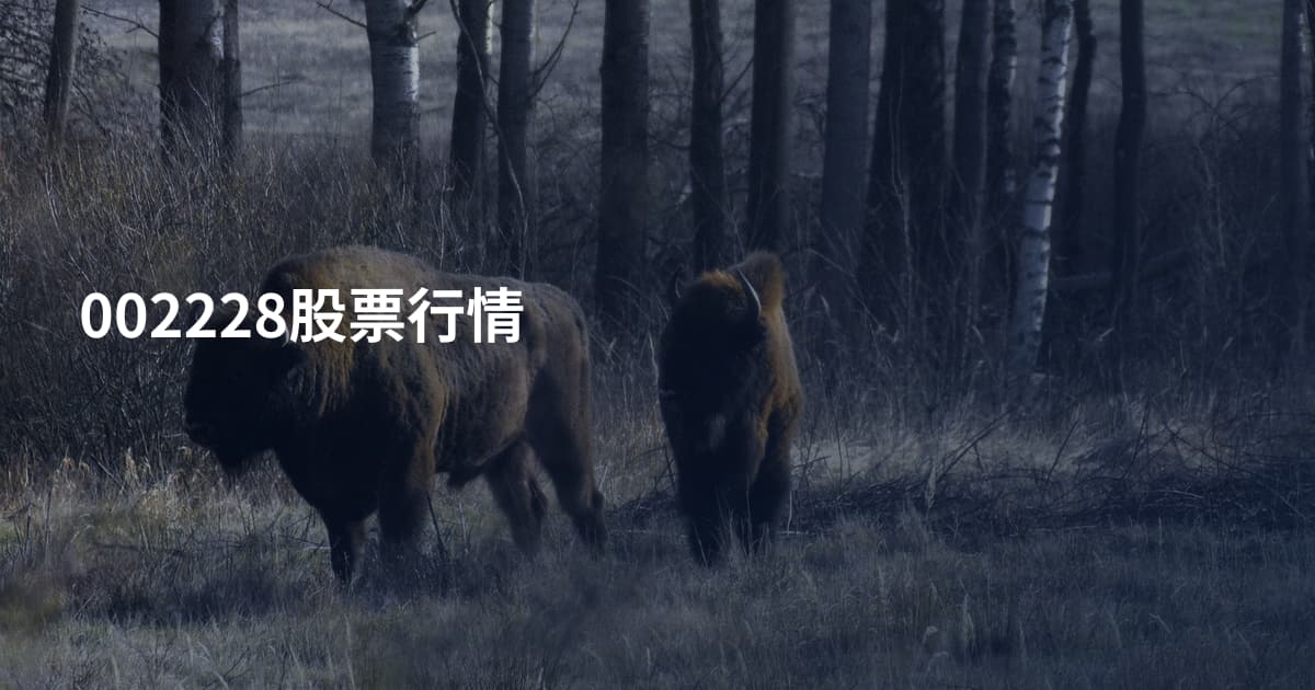 002228股票行情