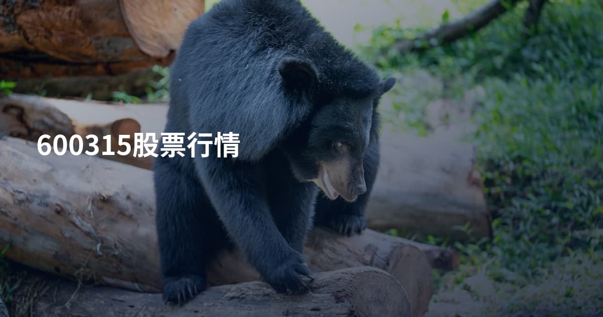 600315股票行情