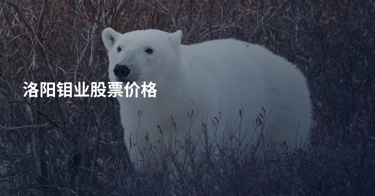 洛阳钼业股票价格
