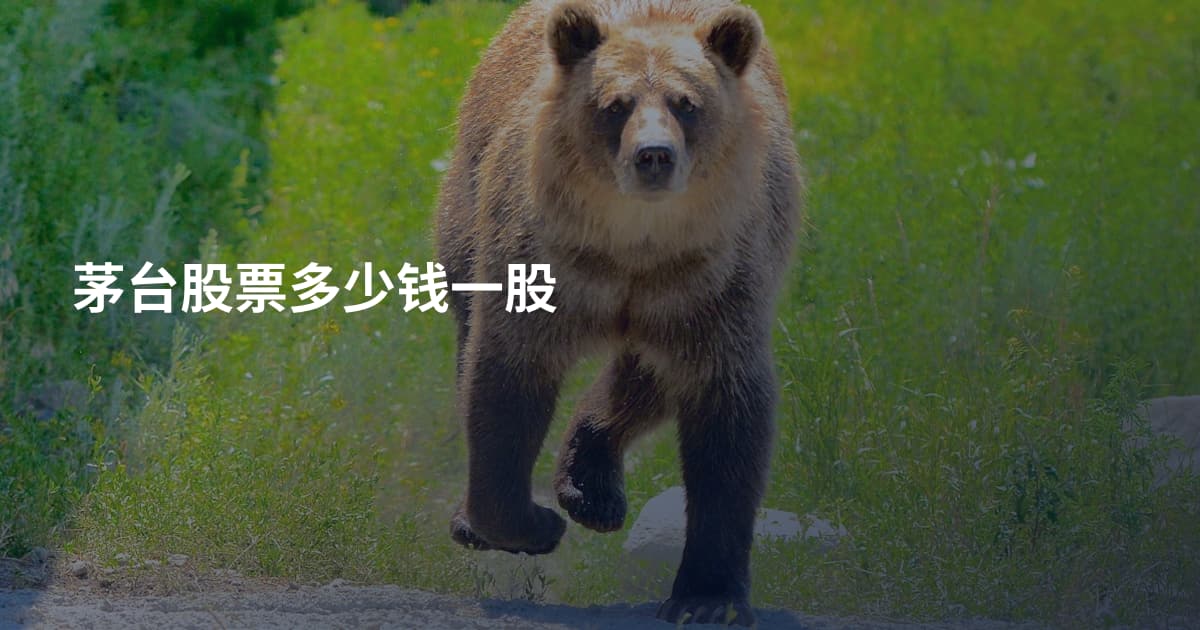 茅台股票多少钱一股