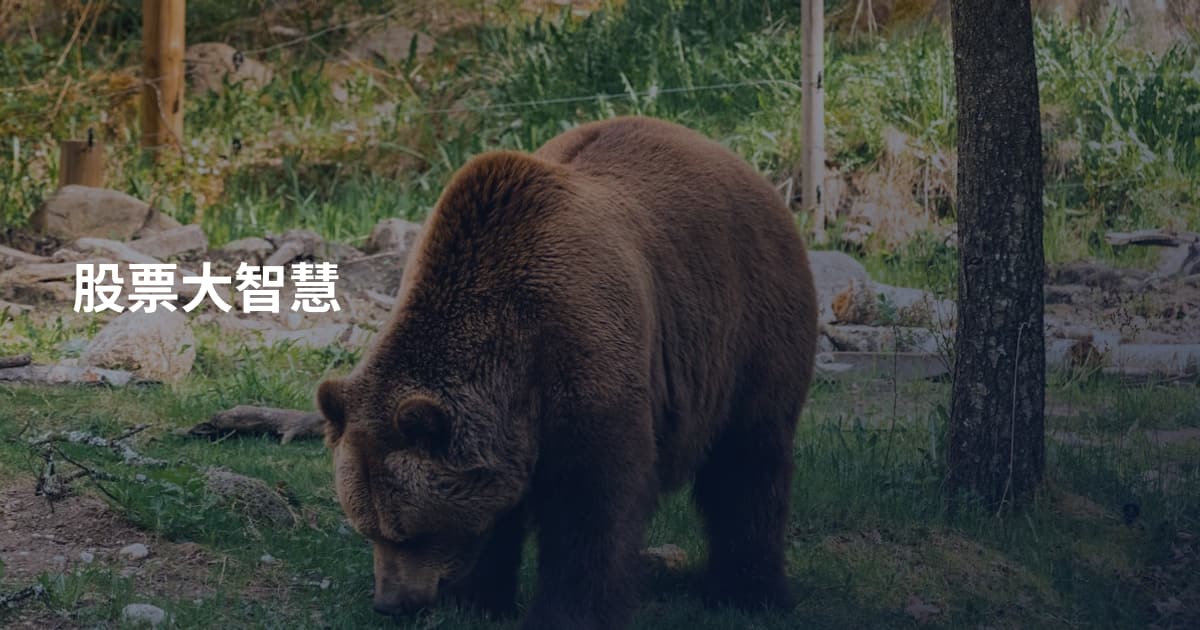 股票大智慧