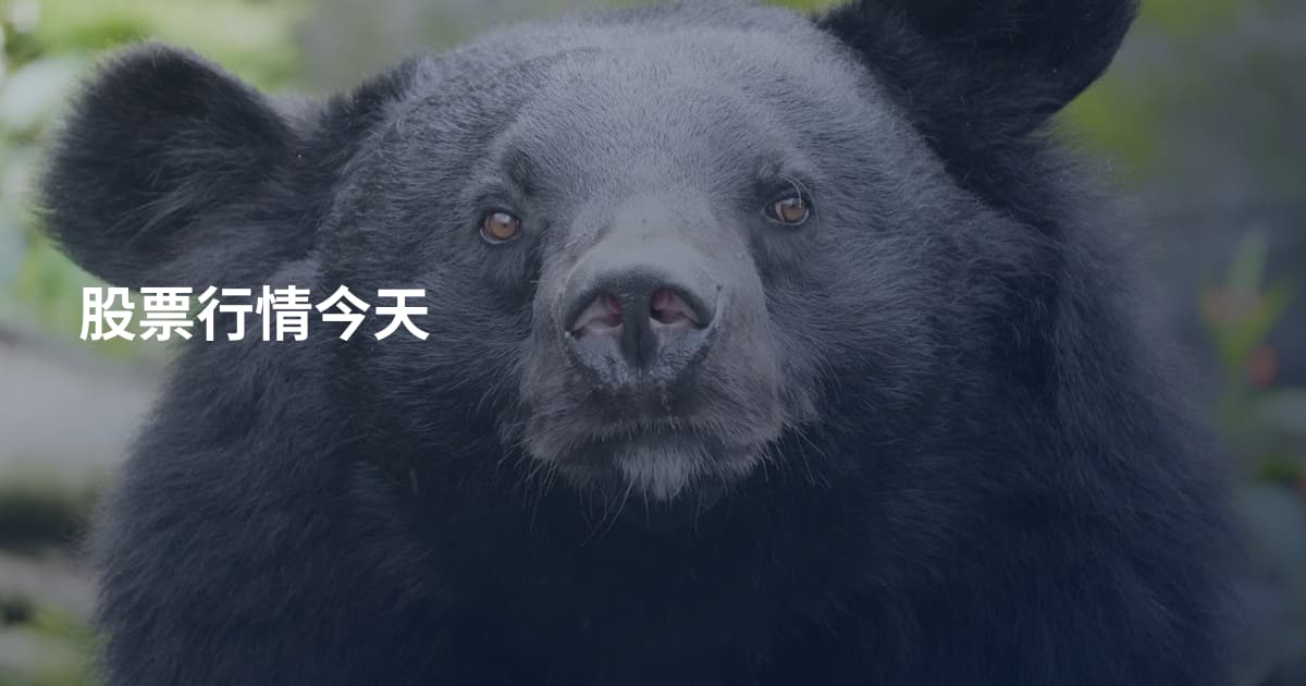 股票行情今天