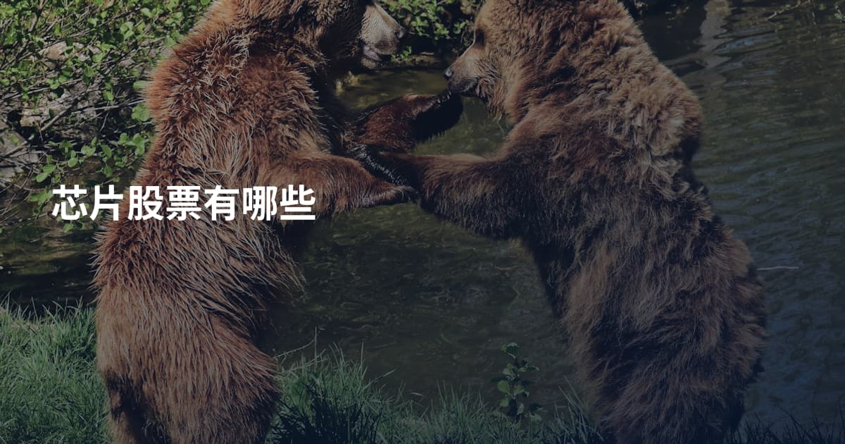 芯片股票有哪些